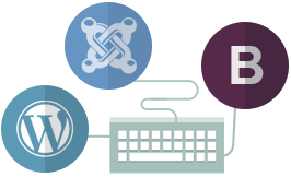 Website Integration